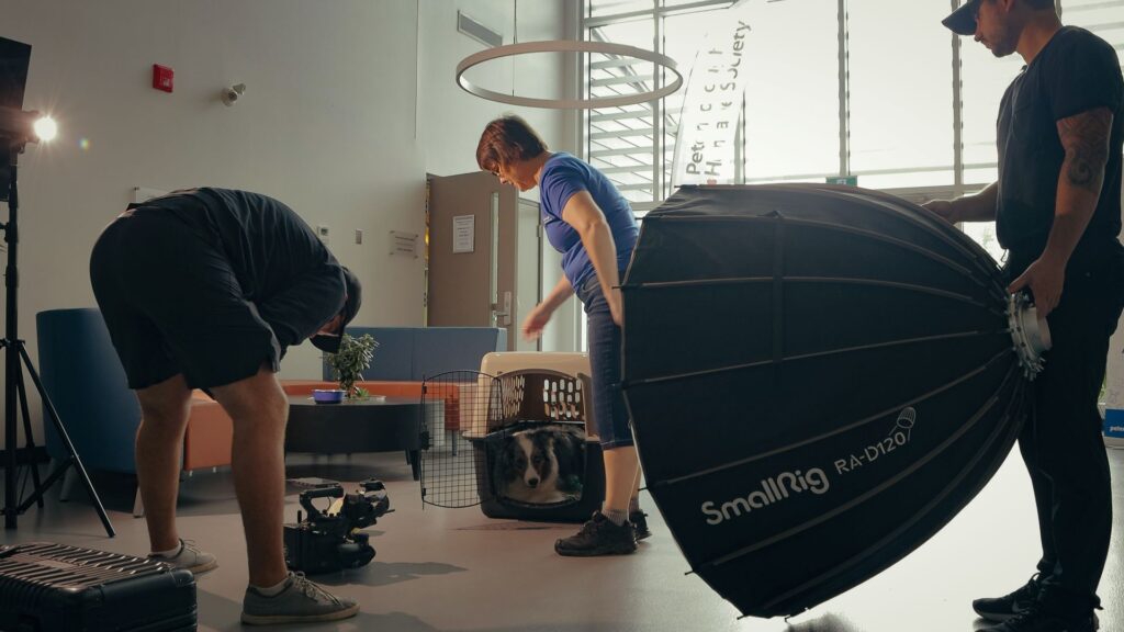Image of videographers filming a collie dog in a crate for a commercial